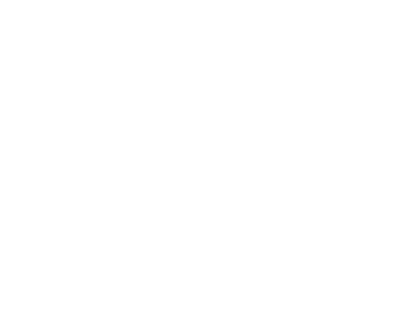 Louisiana Division of the Arts